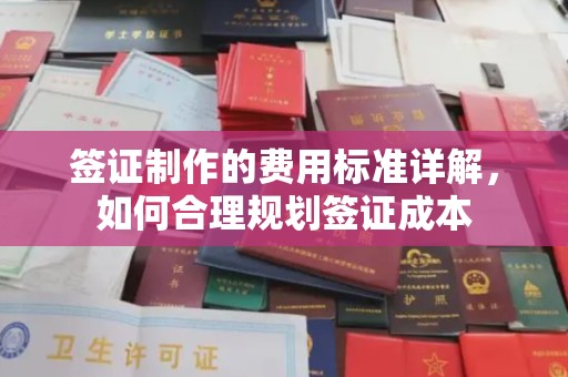 汉阳签证制作的费用标准详解，如何合理规划签证成本